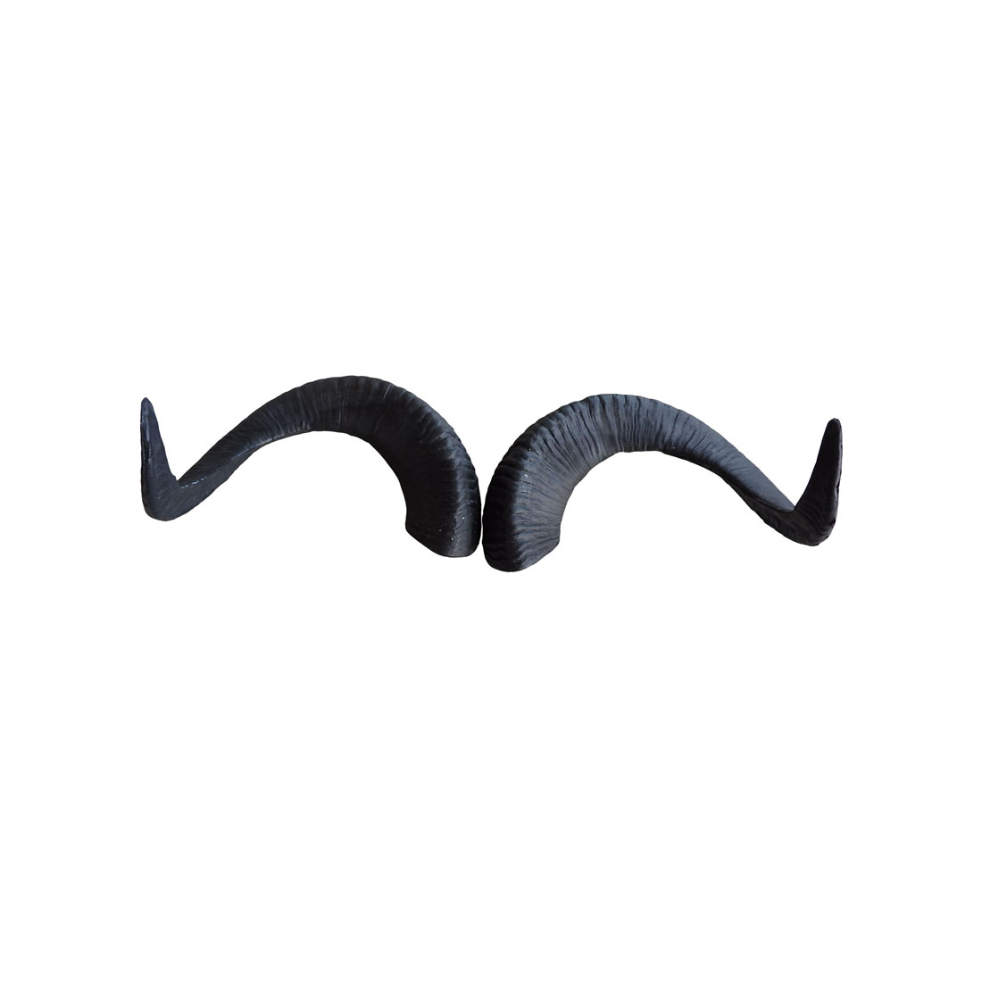 Leitold Marco Polo Horns (3D-0074/85)