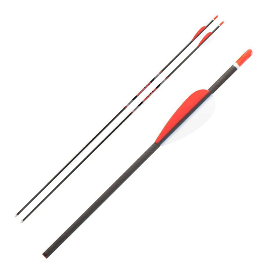 Avalon Tyro Carbon Arrow