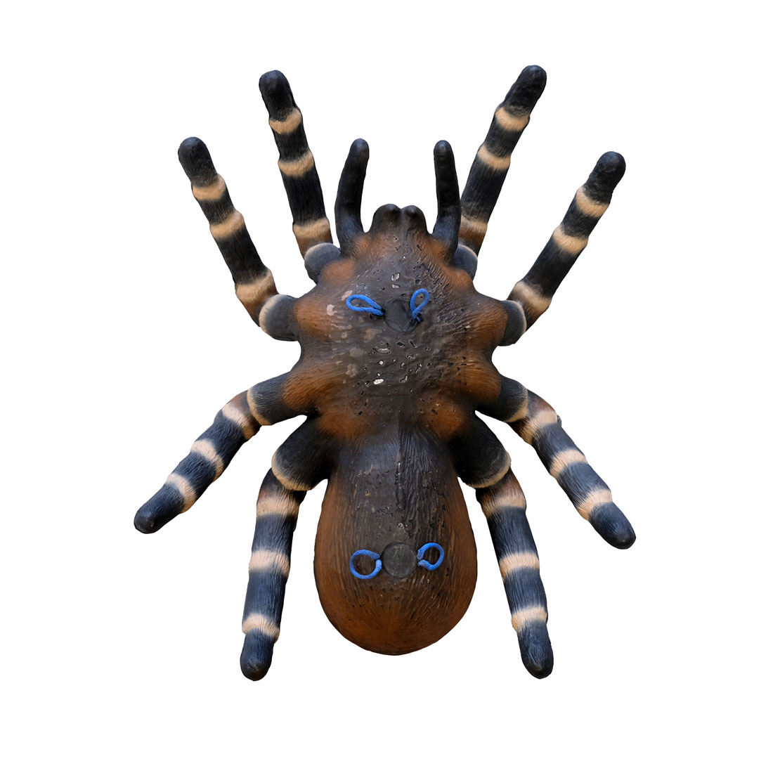 Leitold Bird Spider 3D Target