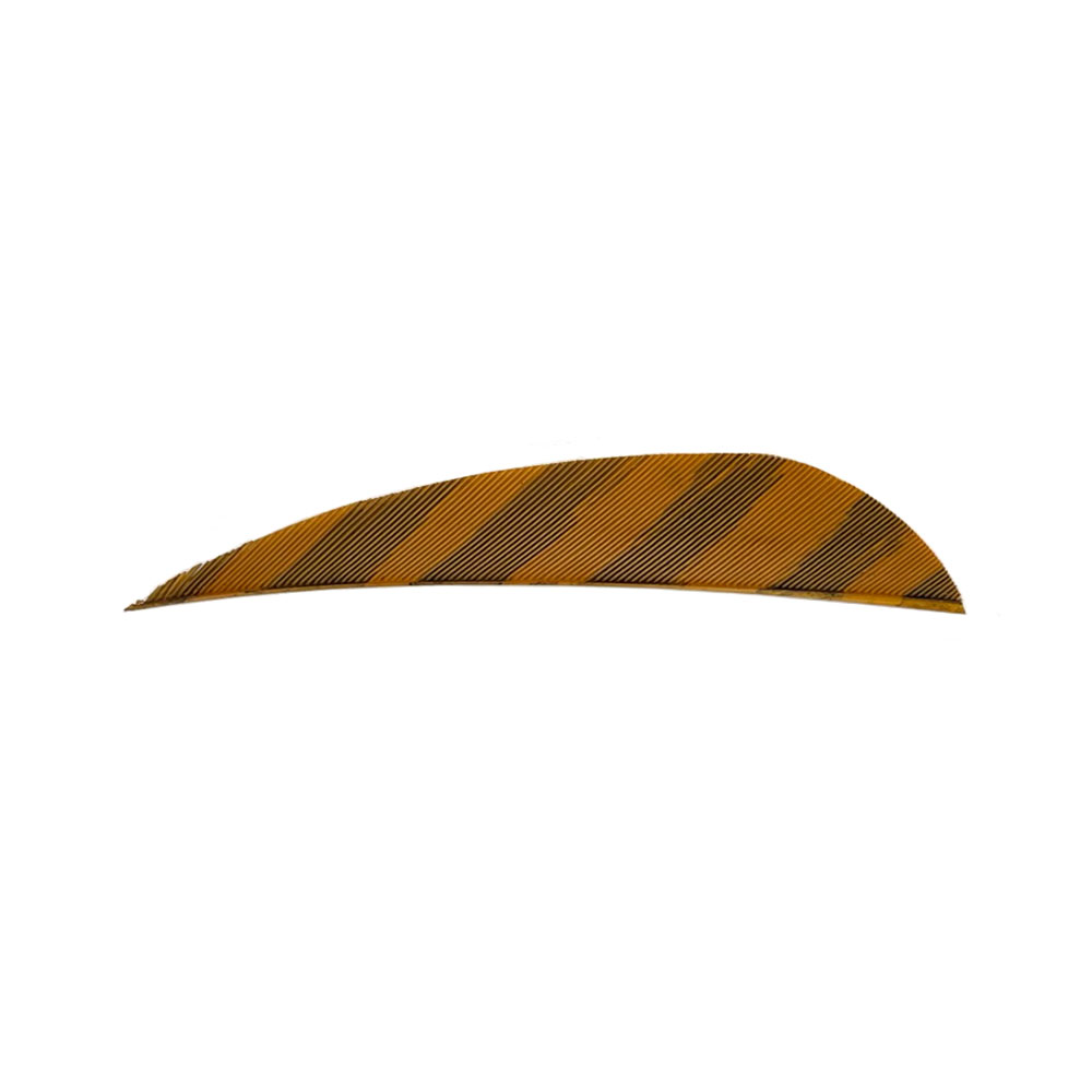 Color: Barred Brown