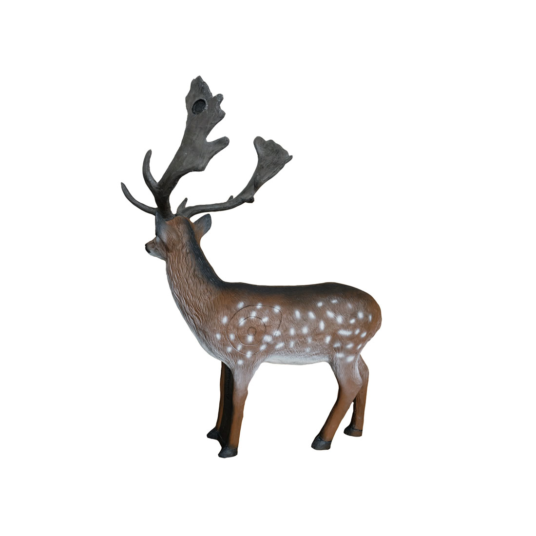 Leitold Fallow Deer 3D Target