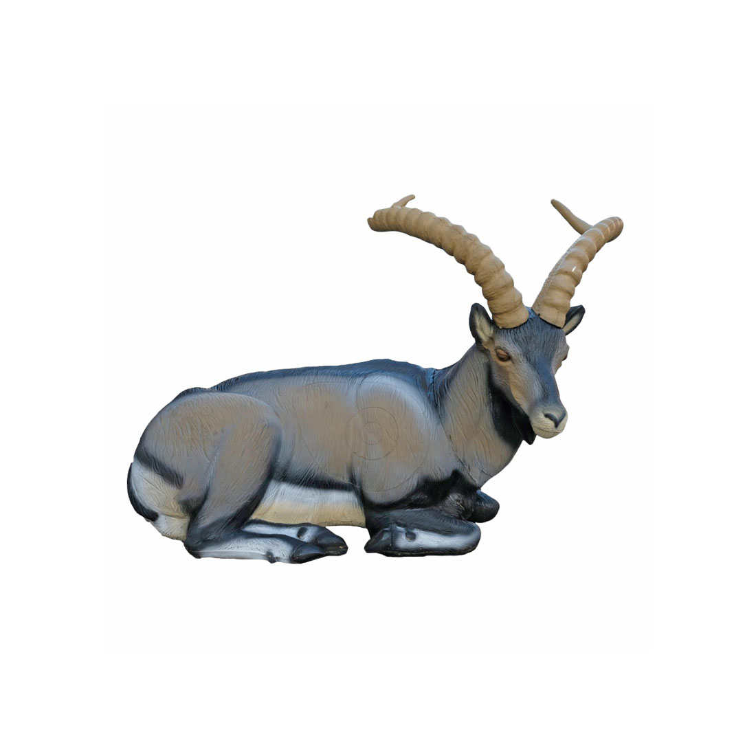 SRT Targets Iberian Ibex Bedded