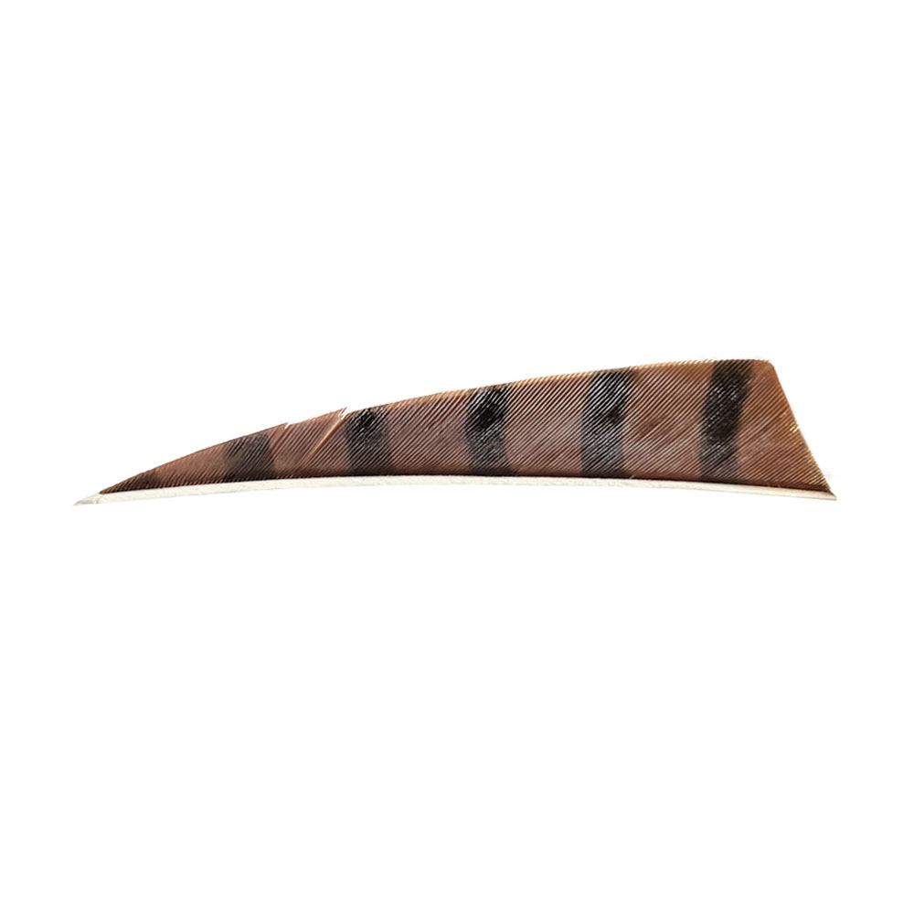 Bearpaw Feather Shield Barred RW 4 Inch